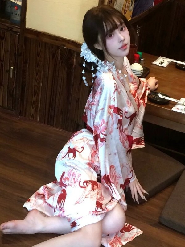 New Chinese Style Sleepwear Ha - Photography Of Lighting recension och pris