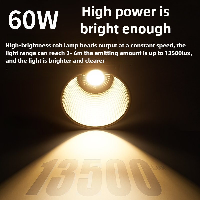 60W Tri-Color Video Light 2700 - Photography Lighting Home recension och pris